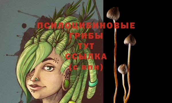 PSILOCYBIN Богданович